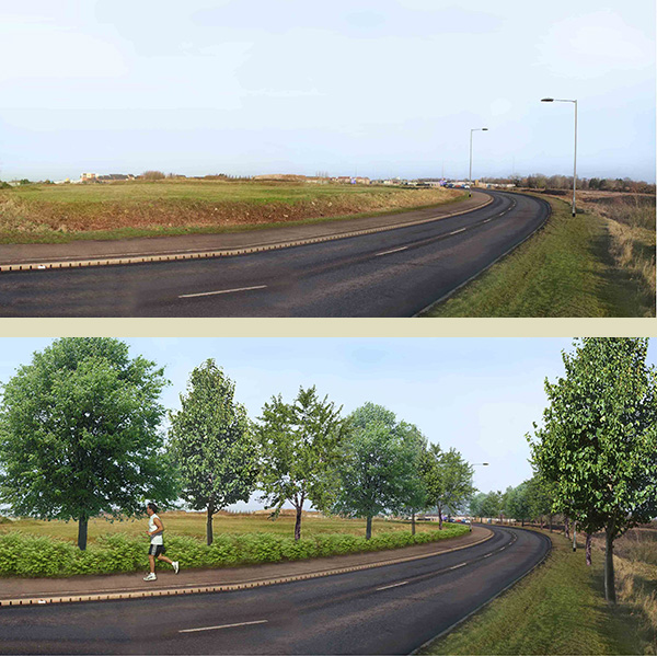 Ideas for streetscape enhancement and tree planting – King’s Lynn
